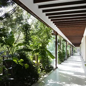 The Lifeco Bodrum Well-being Detox Center And Vegan (adults Only) 3*, Golturkbuku Turkey